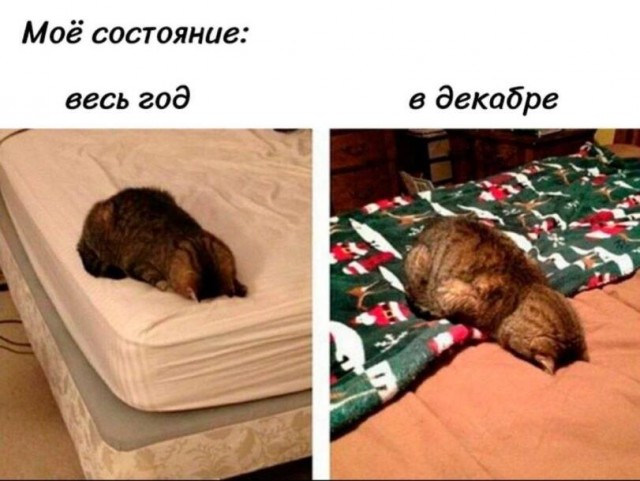 Эбокартинки с эбонадписями