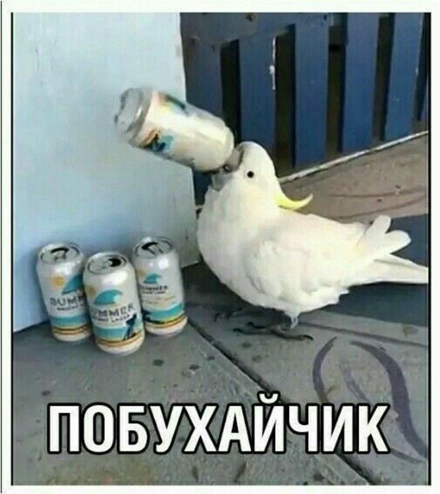 Прикольные и просто красивые картинки 21.08.2026