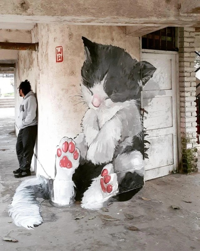 Граффити (котовторник)