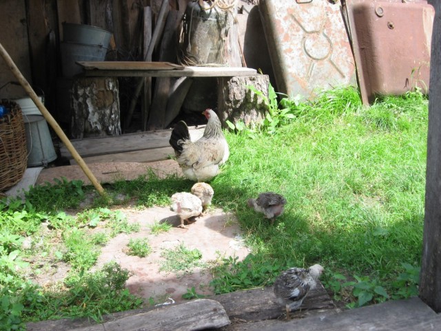 Поездка на Тамбовщину