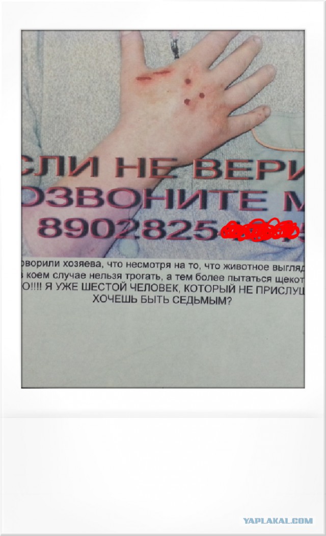Ты на кого замахнулась...
