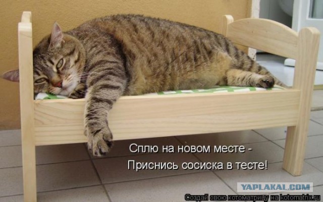 Домик для котэ