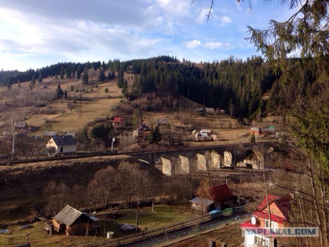 Победители фотоконкурса