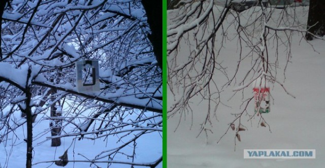 Птичкам нужна помощь