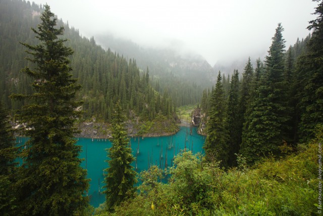 Озеро Каинды - Утонувший лес