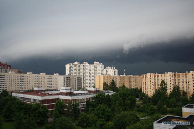 Вид из вашего окна