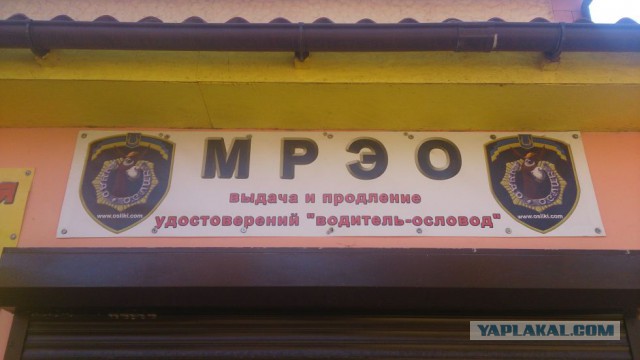 20 объявлений месяца, которыми мы гордимся