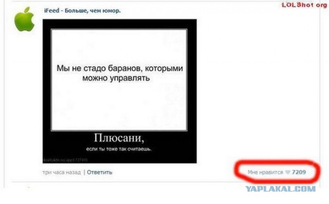 Смешные комментарии из социальных сетей