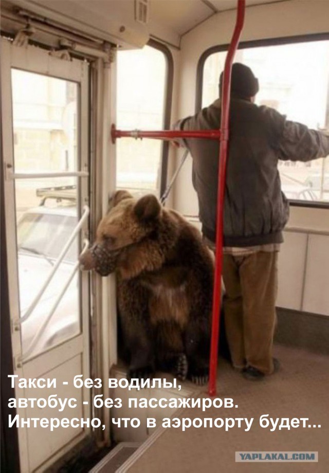 Вестник из соцсетей #9