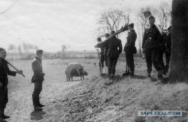 Вермахт