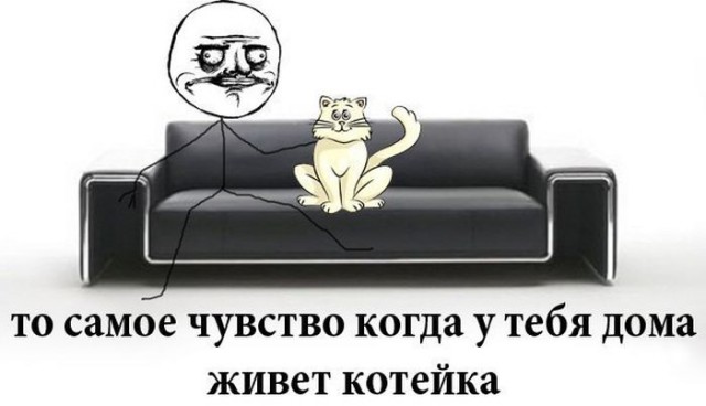 Жизнь До и После