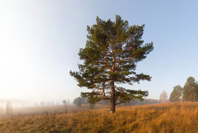Деревенская Америка