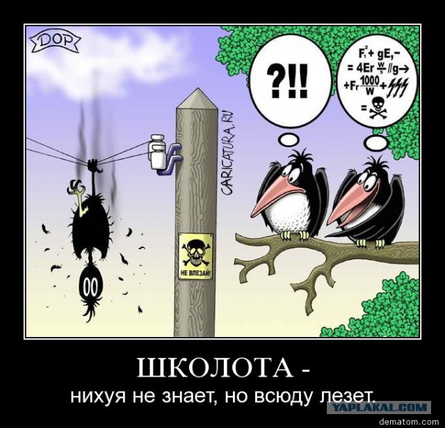 Налог для малого бизнеса вырастет на 16%