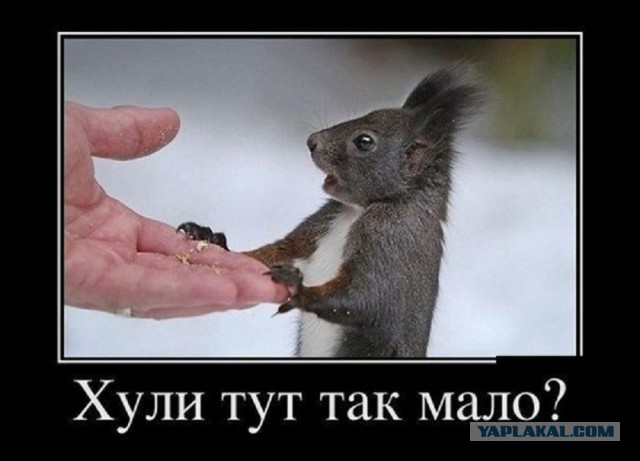Мемы вспоминаем и добавляем....