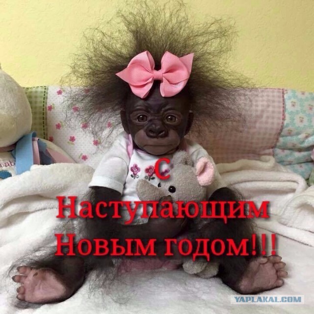 Я оказалась не модной...