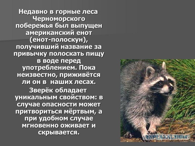 О тонкостях сложной душевной организации у мужчин.