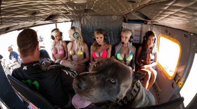 Подборка картинок