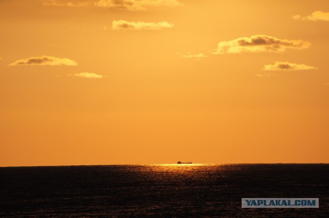 Подборка интересных и веселых картинок