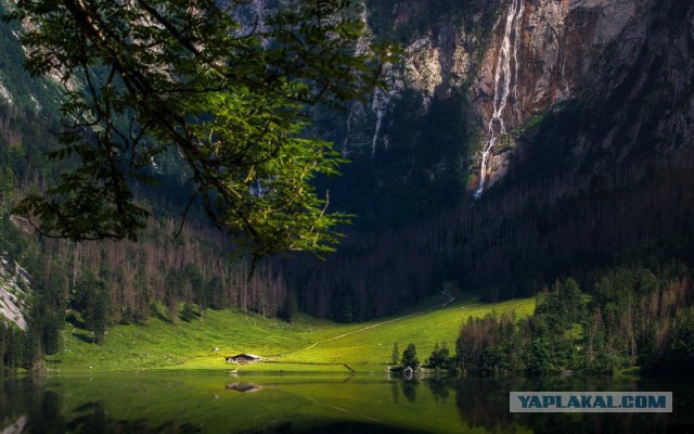 Подборка интересных и красивых фото