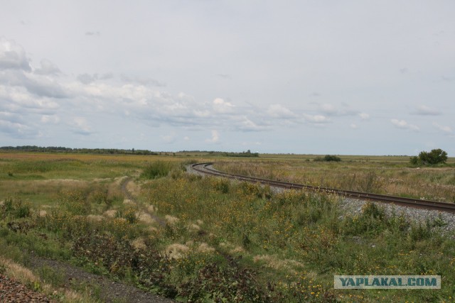 Подборка "тёплых, уютных, домашних" фотографий. Часть 3
