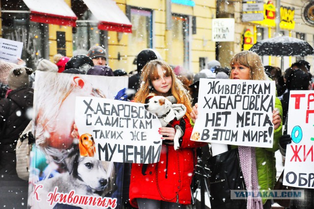 Питер против насилия