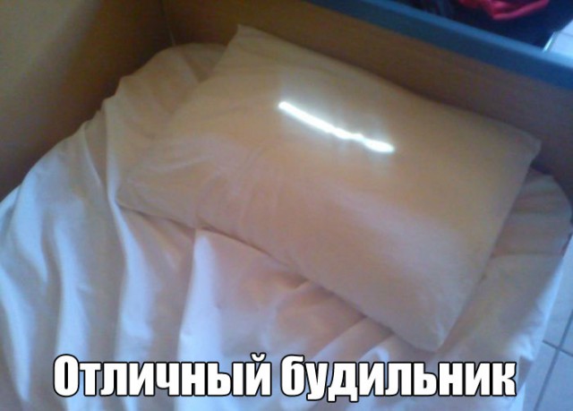 Всячина. Картинки
