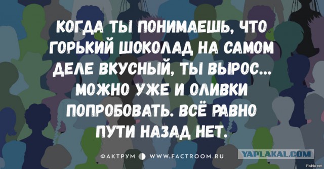 Небольшая подборка прикольных фотокарточек