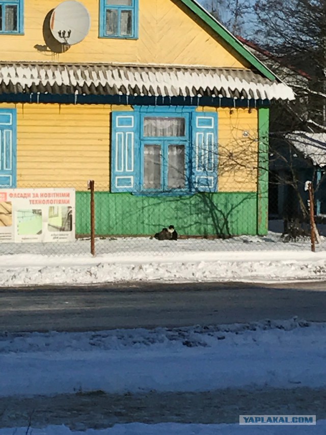 Как я съездил на Западную Украину и в Польшу-strong