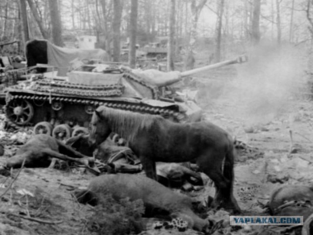 Фотографии к "Нахальному минированию" и "Лехе"