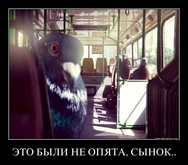 Когда пытаешься подкатить к симпатичной киске