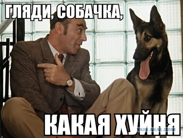 Открытие ММКФ: парад нарядных позорищ