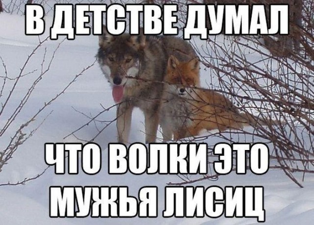 Подборка картинок, для любителей перфекционизма