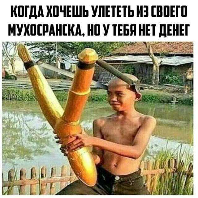 Подборка интересных и веселых картинок