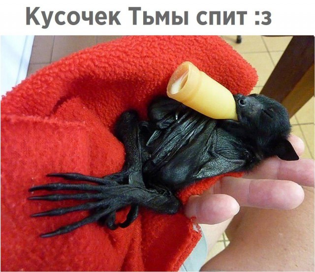Подборка интересных и веселых картинок