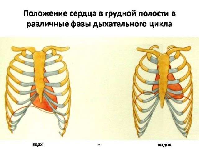 Что происходит с Землей?