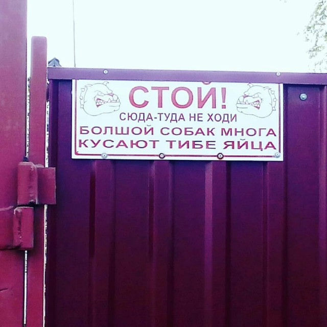 Смешные объявления, надписи и вывески