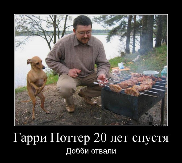 Картинок и Демотиваторов Всяких