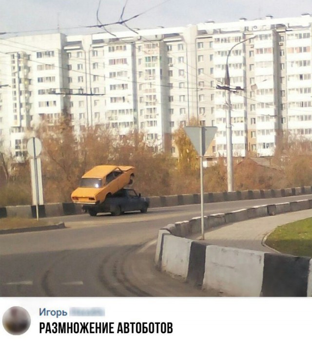 Лента прикольных картинок