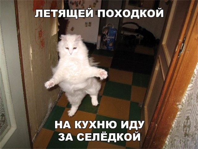 Немного милоты