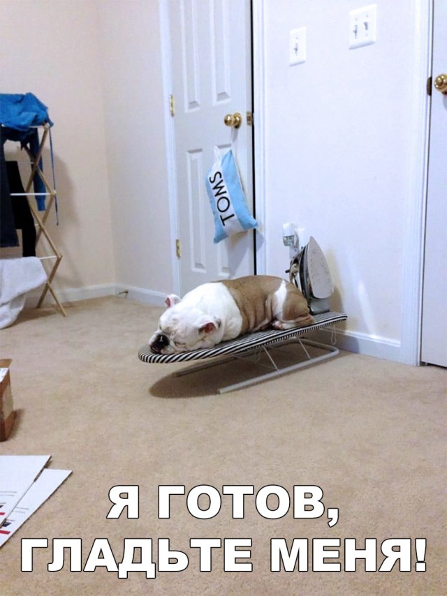 Нестандартный юмор
