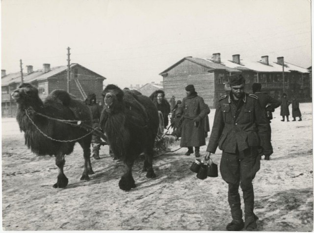 Русская зима для европейцев