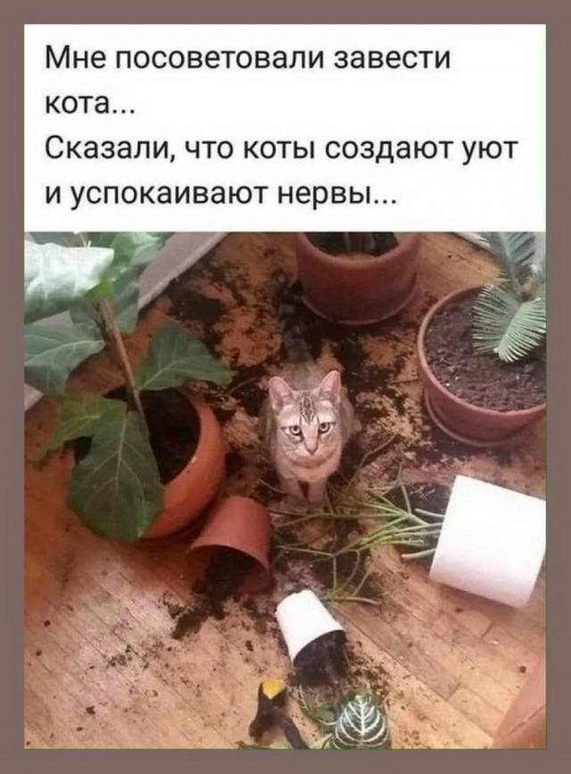 Немного картинок с надписями и без - 16