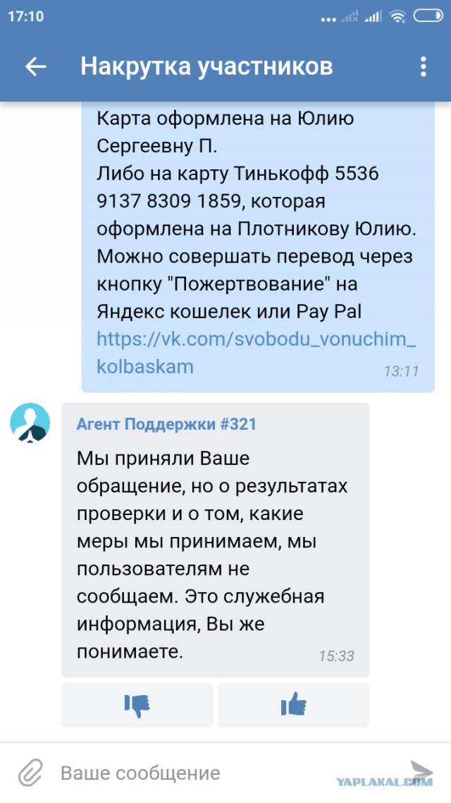 Помогите вернуть кота! Приют "Преданное сердце" украл кота и не отдает!-2