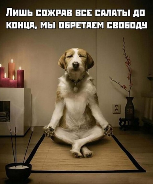 Картинки разные нужны, картинки всякие важны