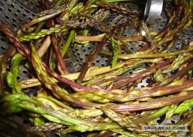 Лапша лугового флота свободного выгула