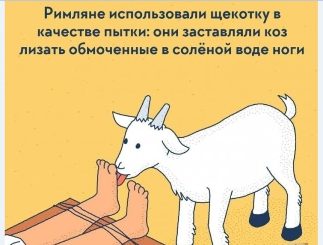 Картинки и мемы для настроения 015