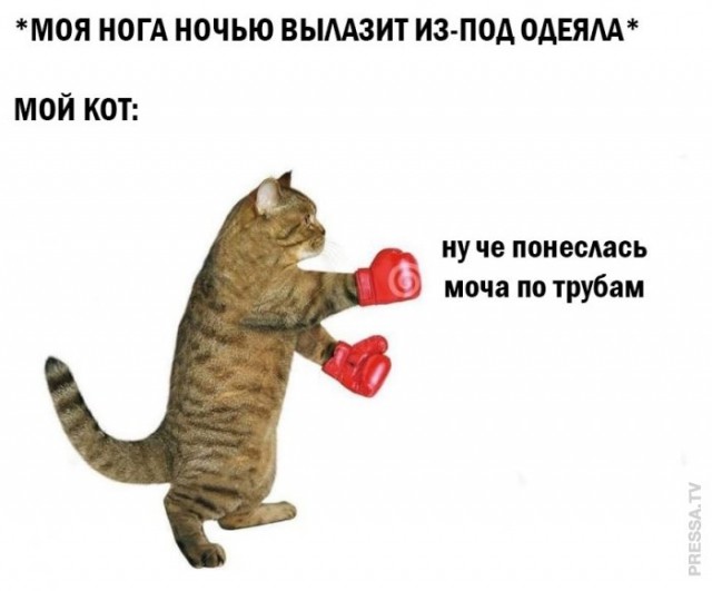 Картинки и мемы для настроения 020