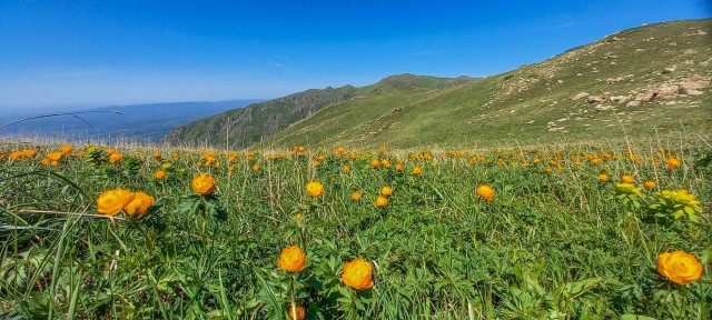 Экспедиция на Тарбагатай