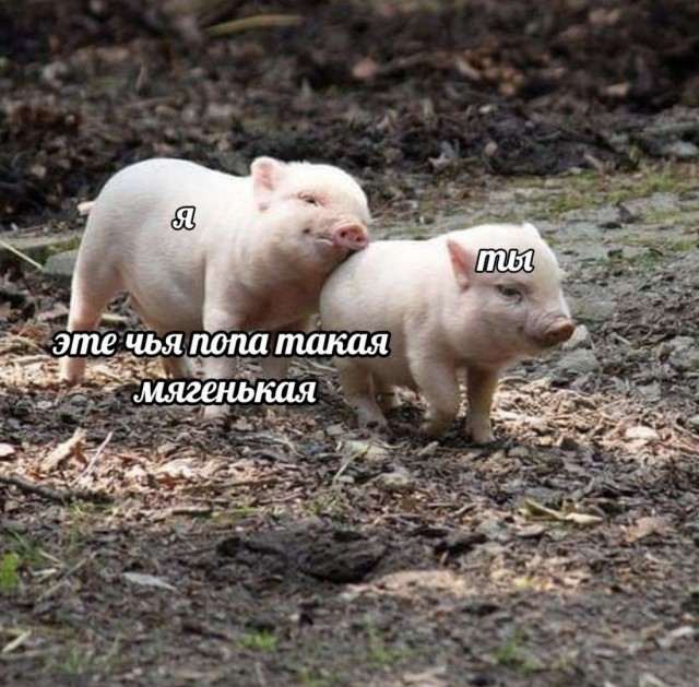 Бредзона