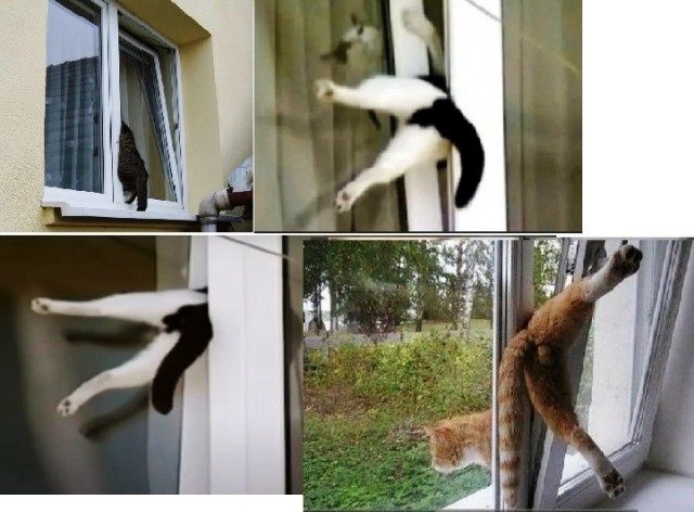 А чё, так можно было, что ли?